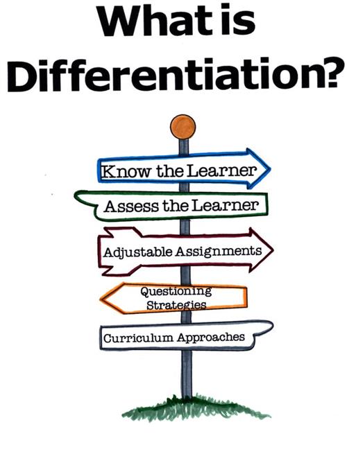 What is Differentiation?
